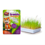 Graminha para Gatos - 50g