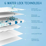 Almofada do treinamento para o cão e o gato