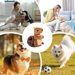Brinquedo Interativo para Cão em Forma de Esquilo com Som