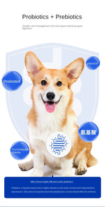 Ração para Cães 1.5kg/ 5kg - Todas as Idades