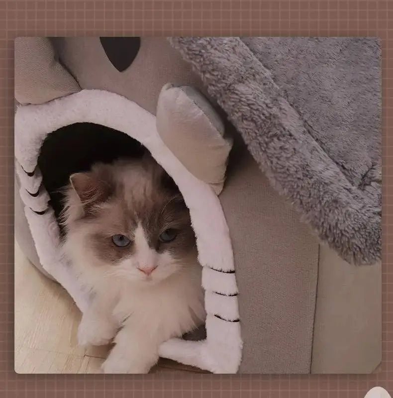 Cama para Gatos e Cães de Todas as Estações