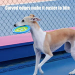 Disco de Borracha para Cão