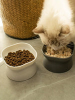 Alimentador de gato e cachorro pequeno tigela