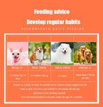 Petiscos para Cães - NoEnName_Null