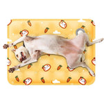 Tapete Refrescante Autocooling para Cães e Gatos