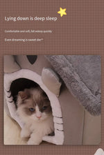 Cama para Gatos e Cães de Todas as Estações