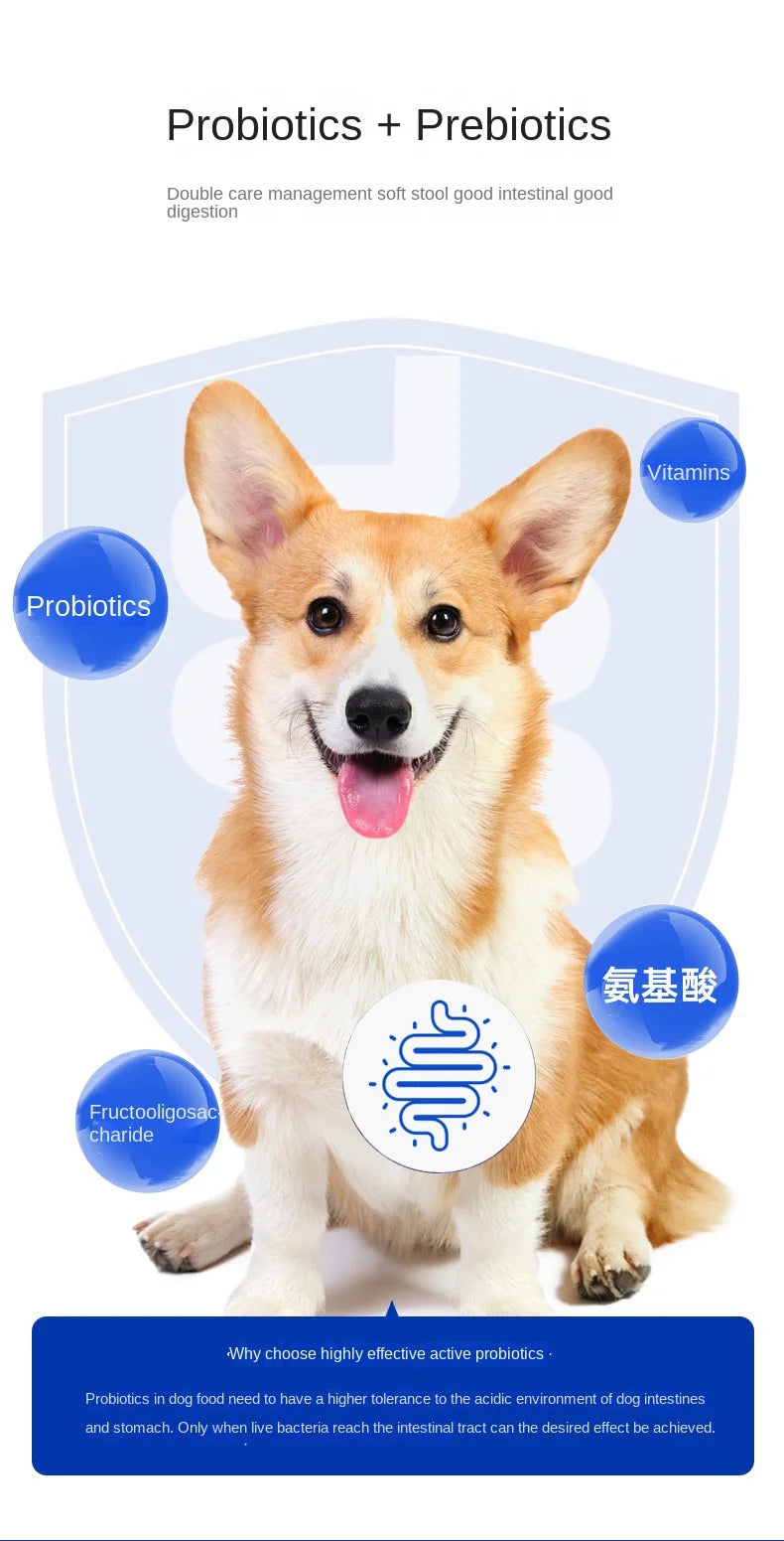 Ração para Cães 1.5kg/ 5kg - Todas as Idades