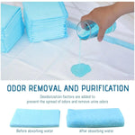 Almofada do treinamento para o cão e o gato