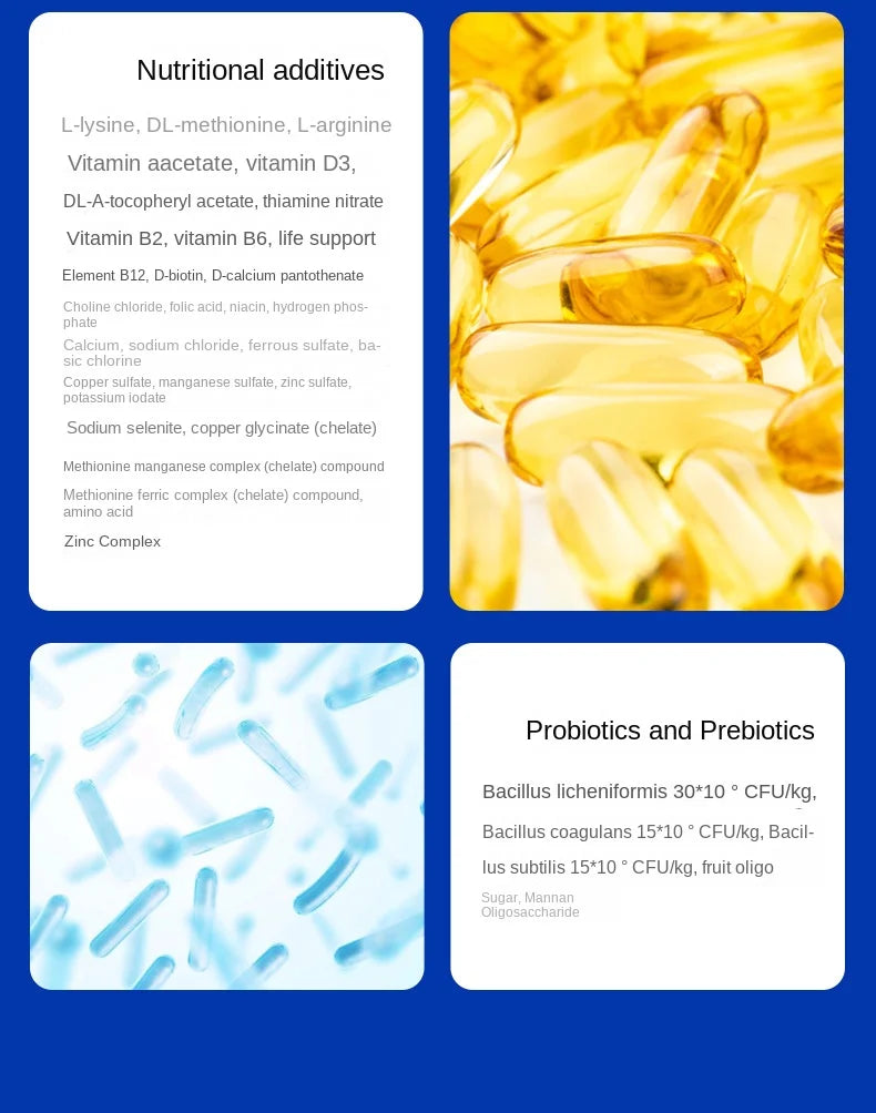 Ração para Cães 1.5kg/ 5kg - Todas as Idades